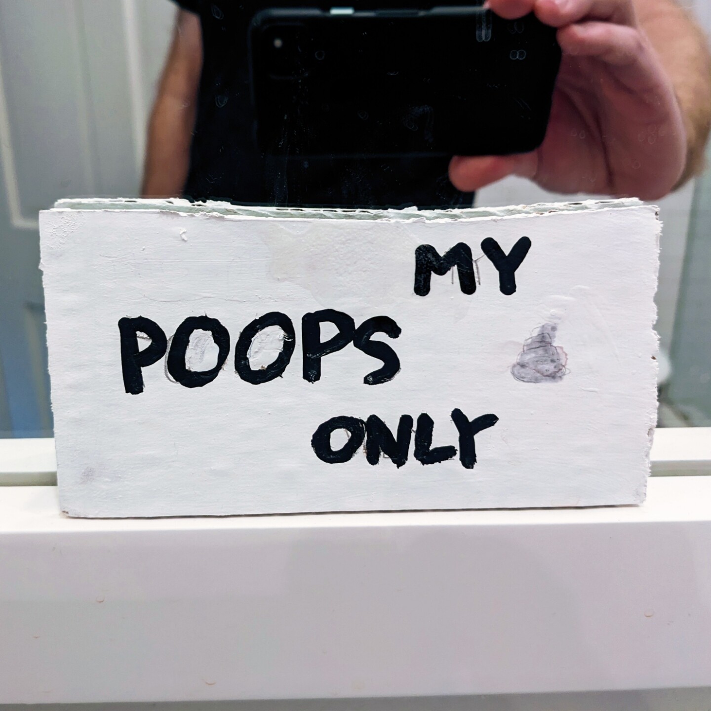 A sign on a mirror that says, "My poops only"