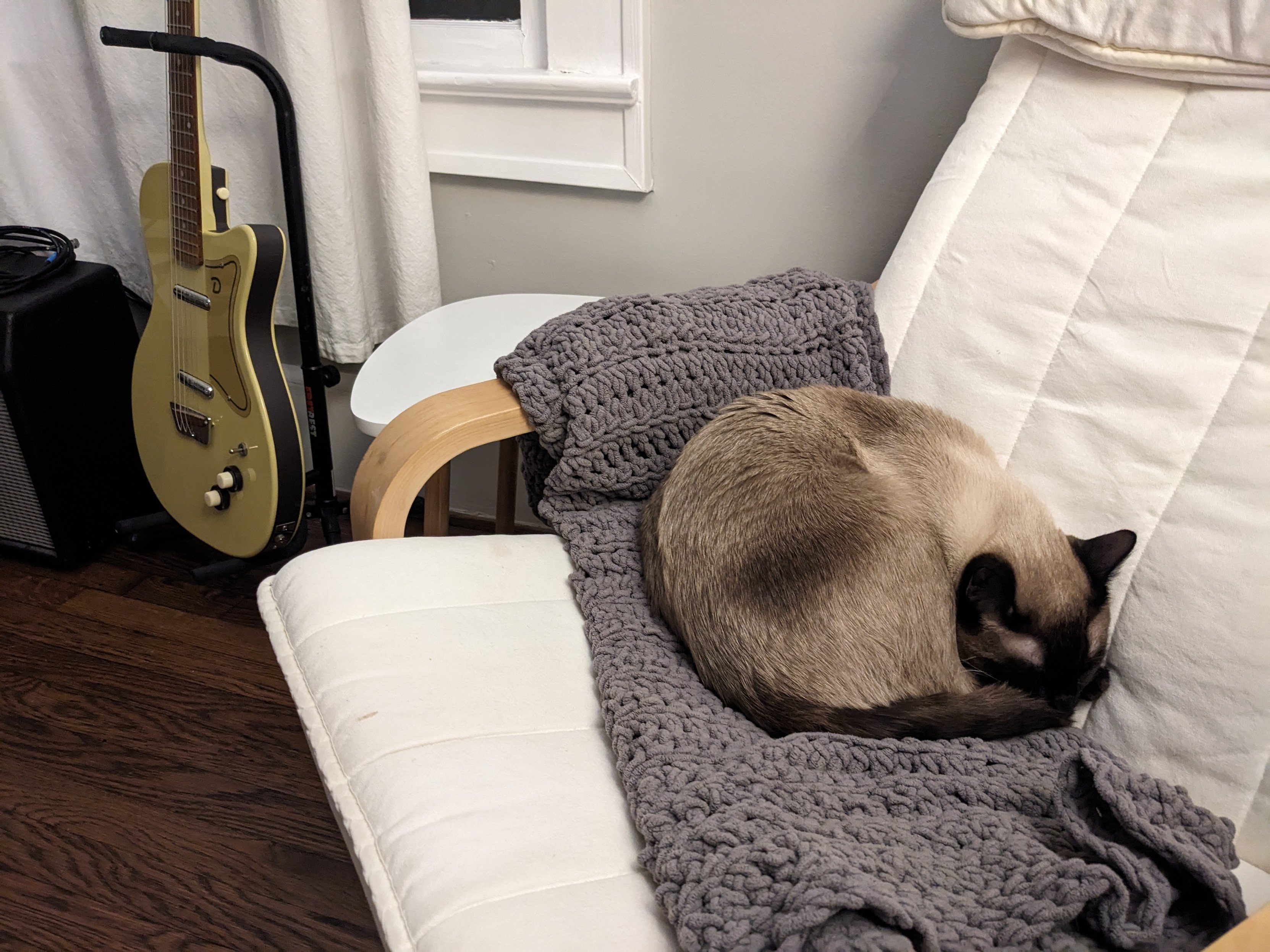 A cat curled up in a chair. A guitar rests in a stand in the background