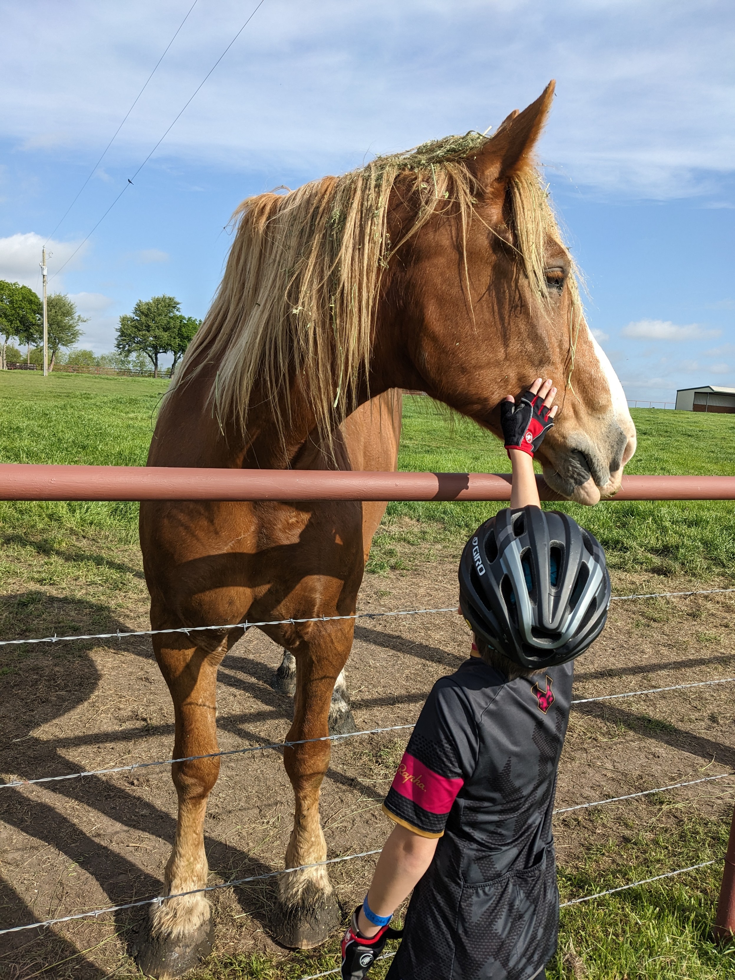 A boy in cycling kit petting a horse.