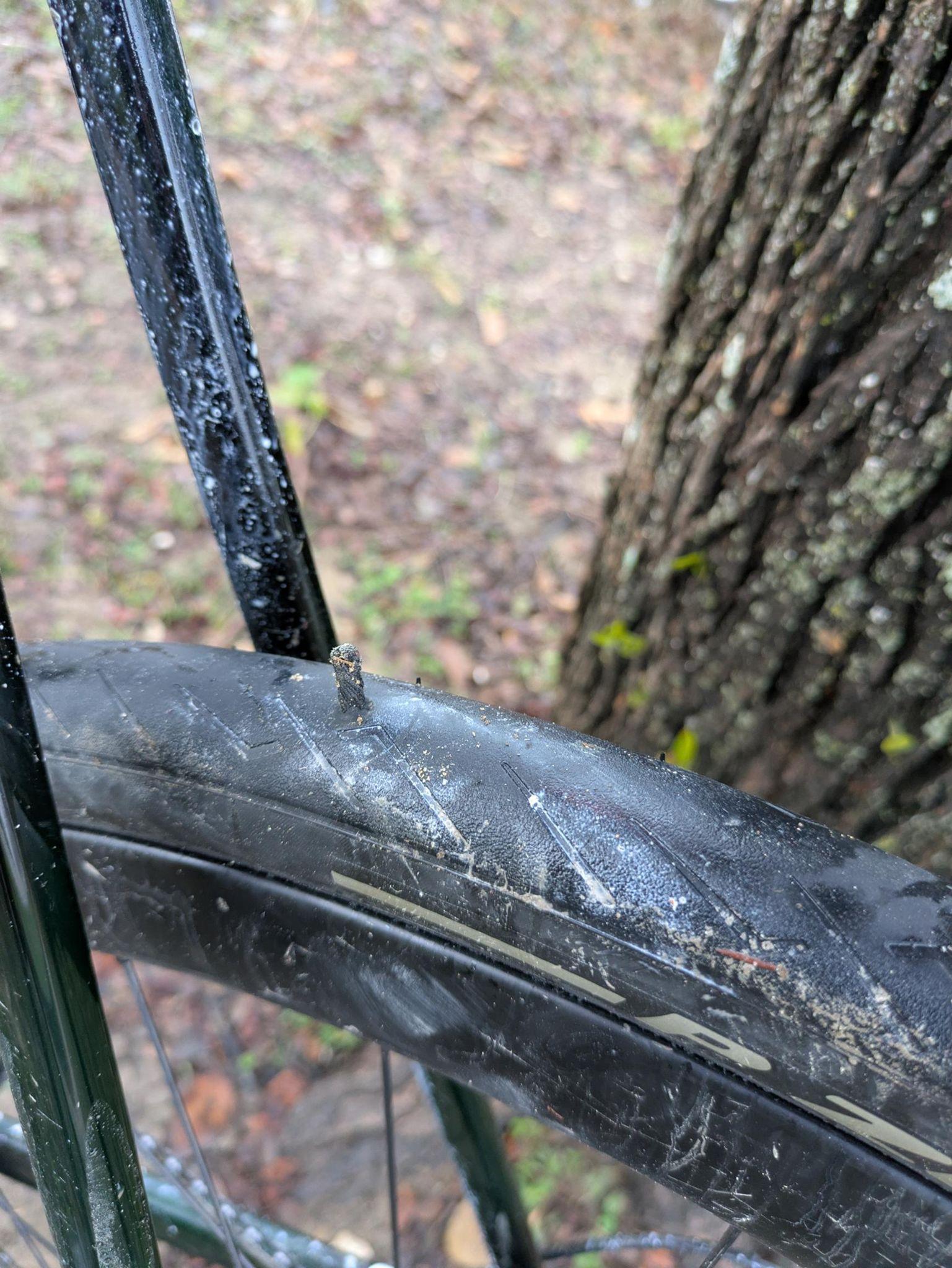close-up of a bicycle wheel and tire, showing a tubeless tire plug sticking out of the center of the tire