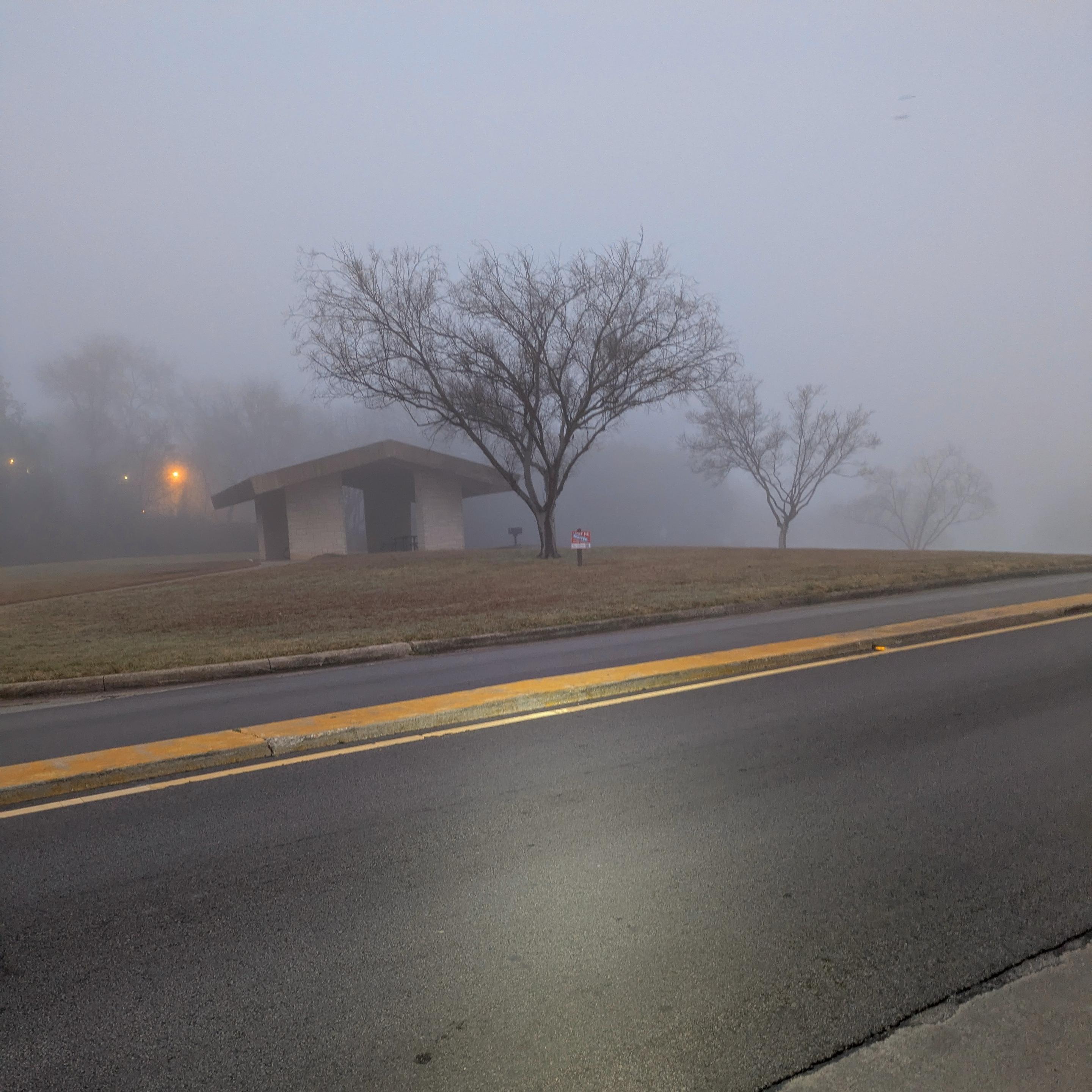 A foggy scene with a road in the foreground lit by a bright light (a bicycle headlight) and a field and trees in the background increasingly obscured by the fog. There is also a park pavilion in the middle of the field 