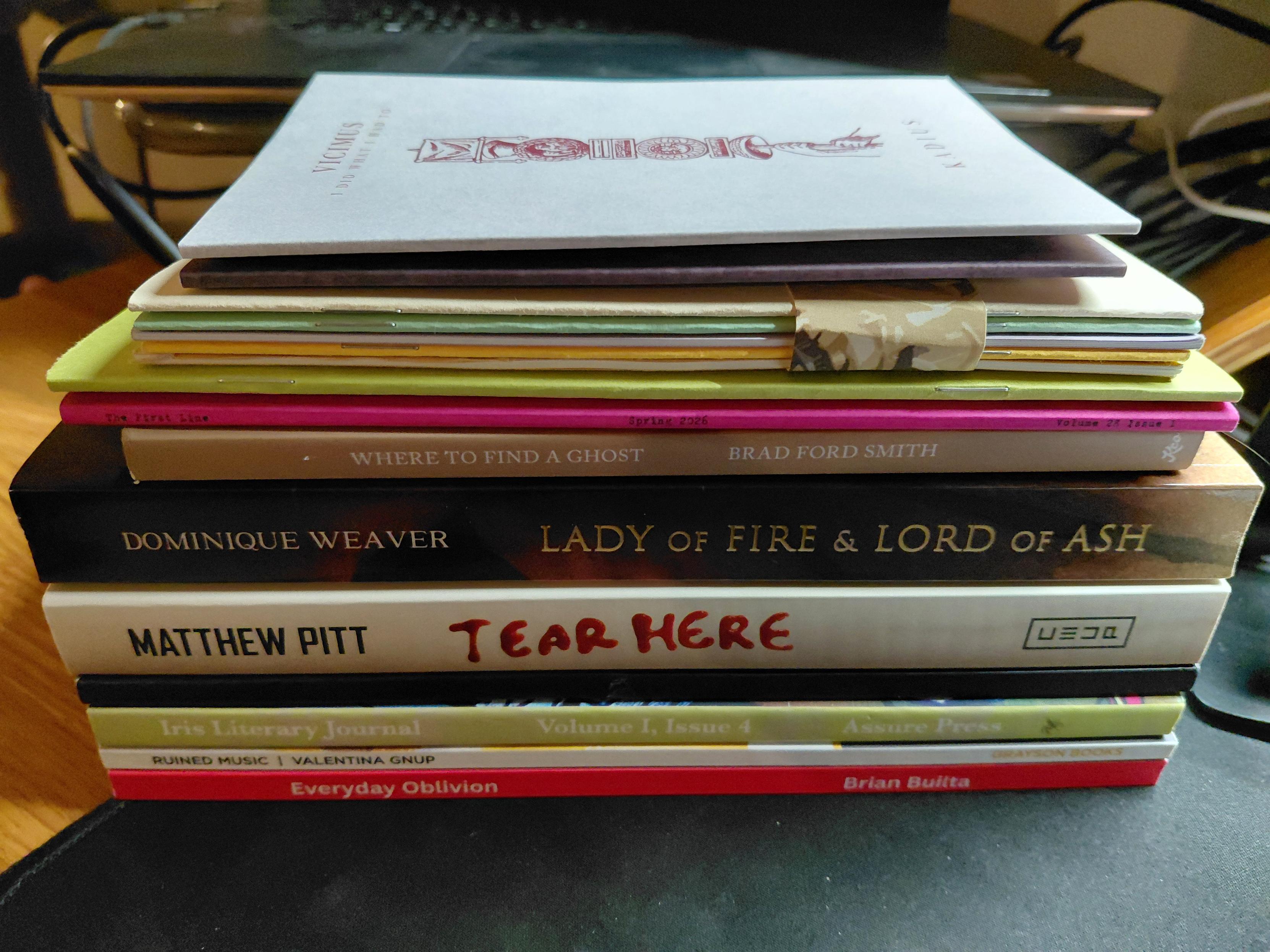 A stack of about a dozen books, from novels to chapbooks